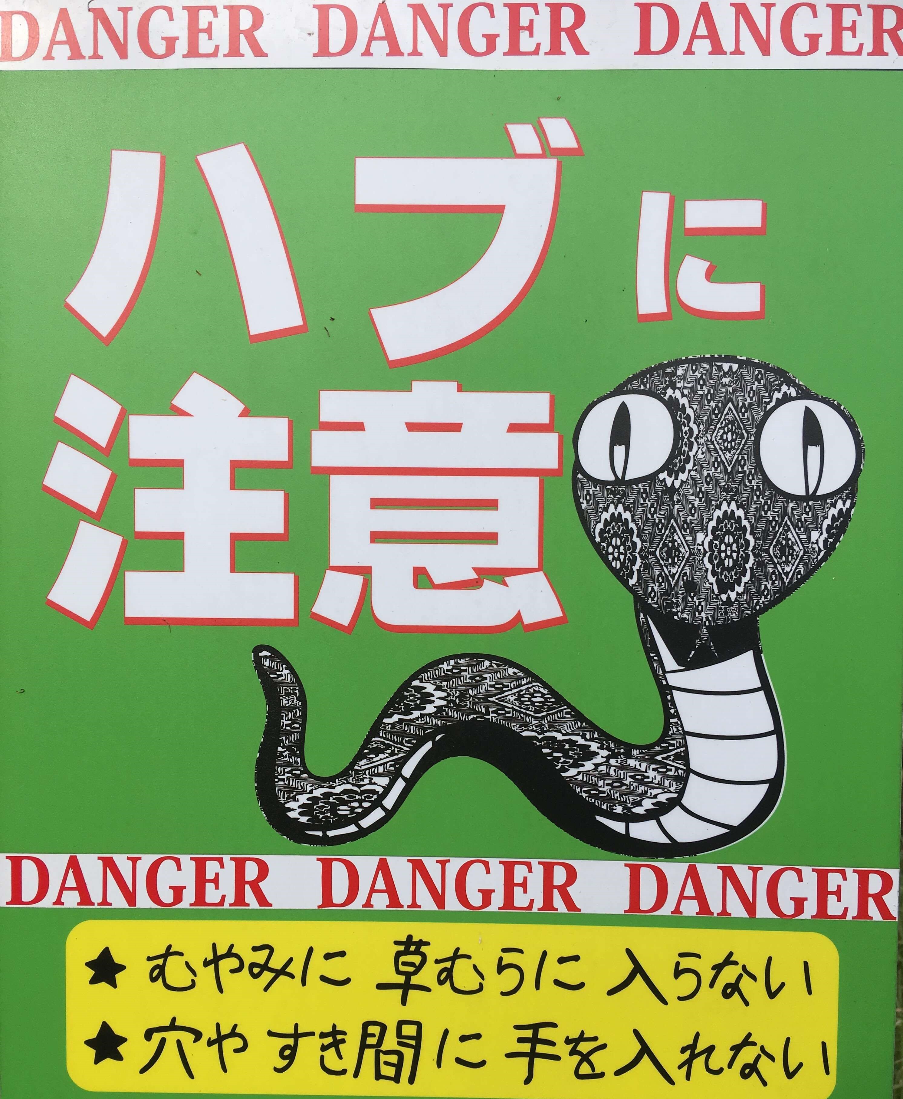 奄美大島一周は絶景の旅 何時間かかる 外周は サイクリングで回れる 奄美大島に行こう