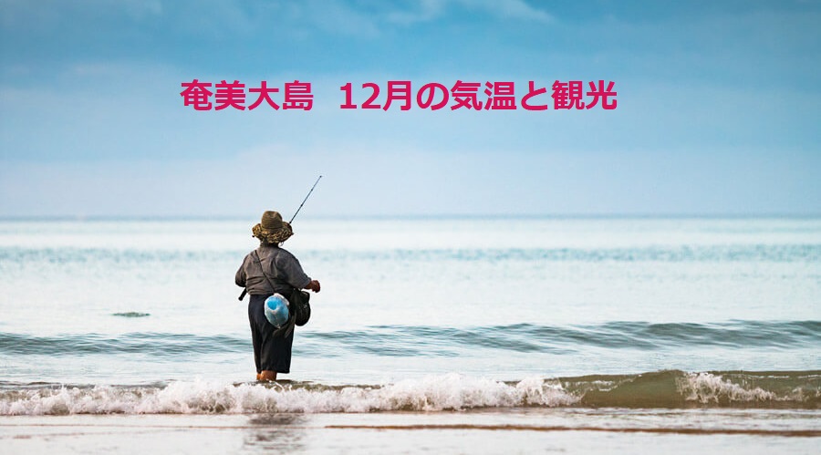 12月の奄美大島 天気と気温 観光おすすめ5選 奄美大島に行こう